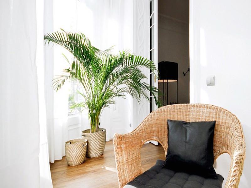 Malaga Apartments Andes La Cala Del Moral 외부 사진